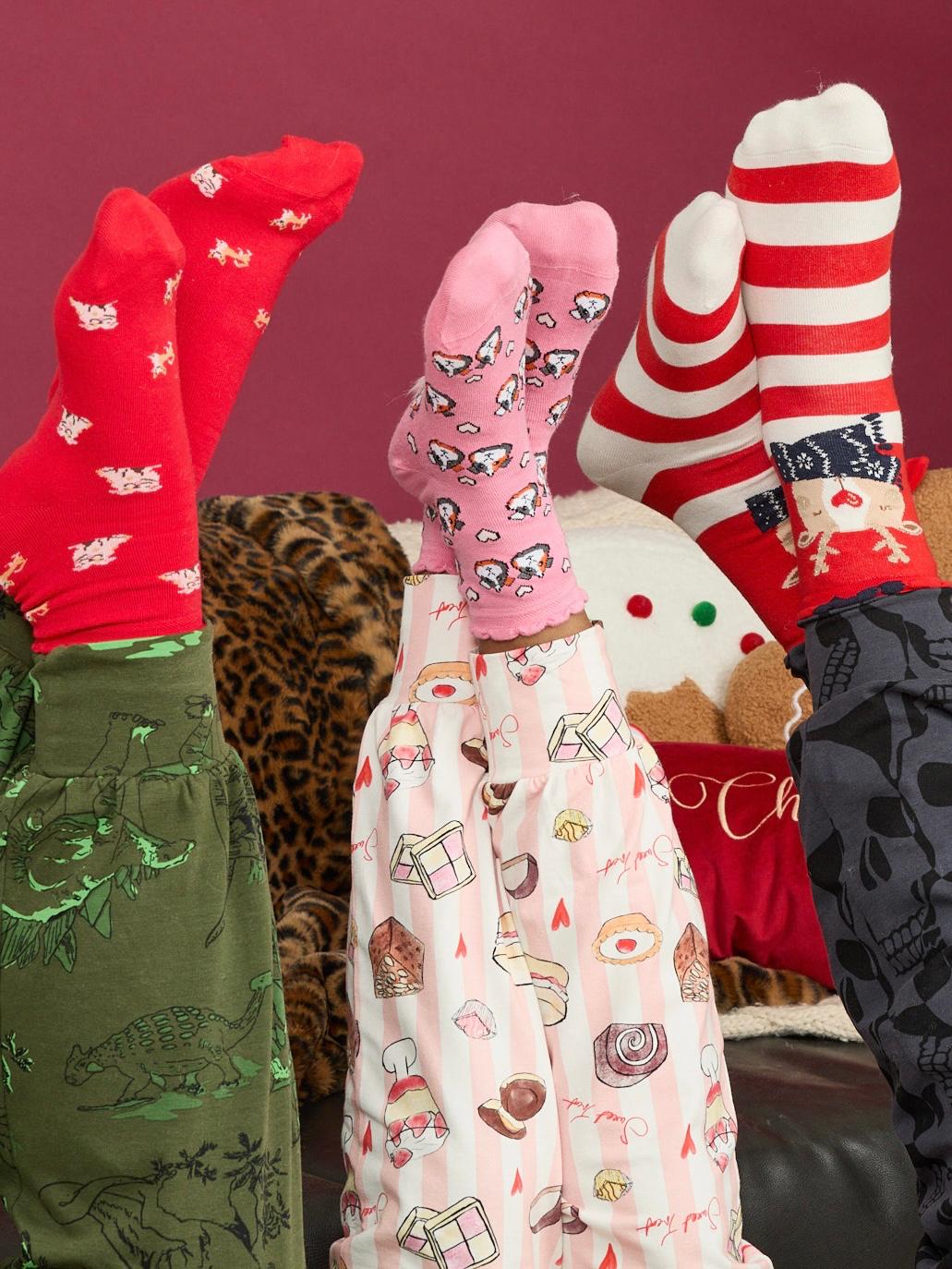 Animal Socks Variety Pack - 5 Pairs