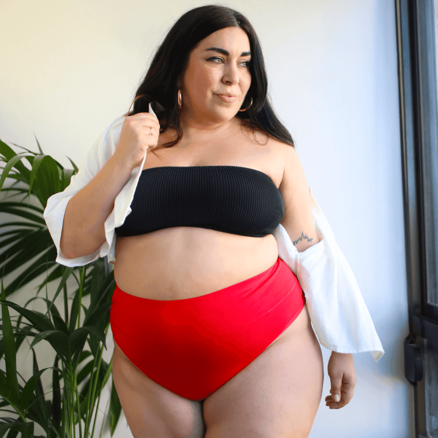 Braguitas altas de algodón orgánico - Langosta