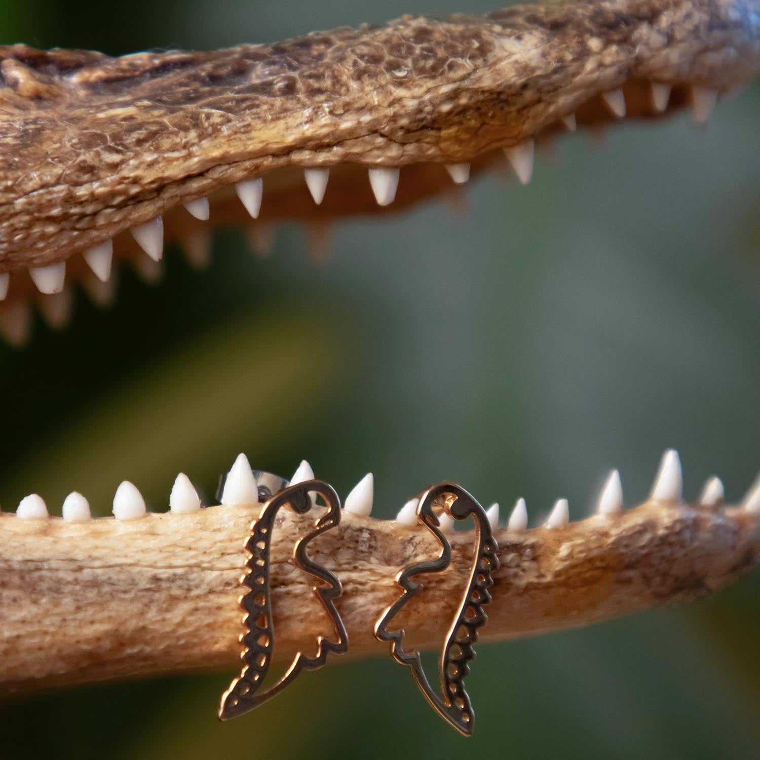 Pendientes de sementales de dinosaurios - Oro