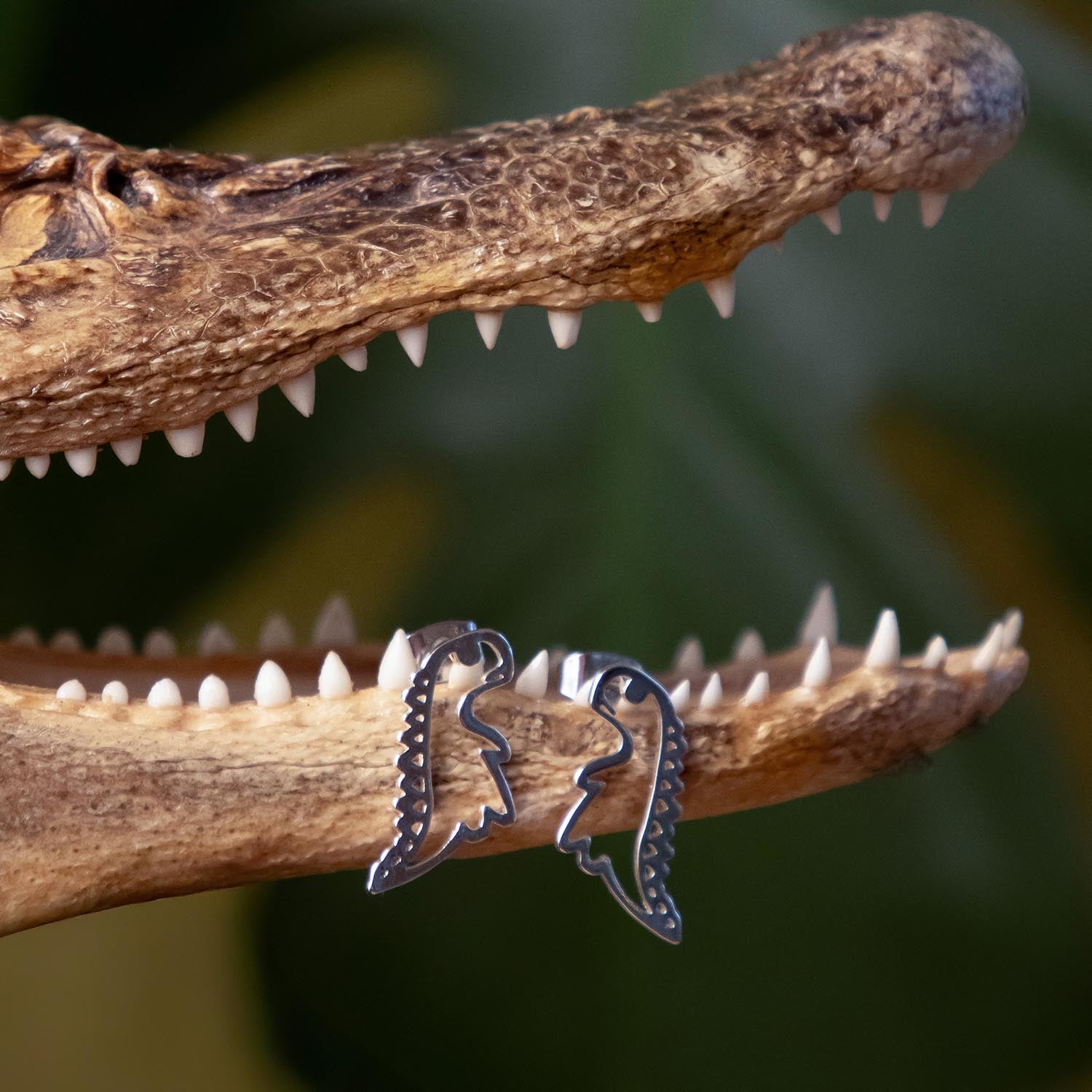Pendientes de sementales de dinosaurio - Plata