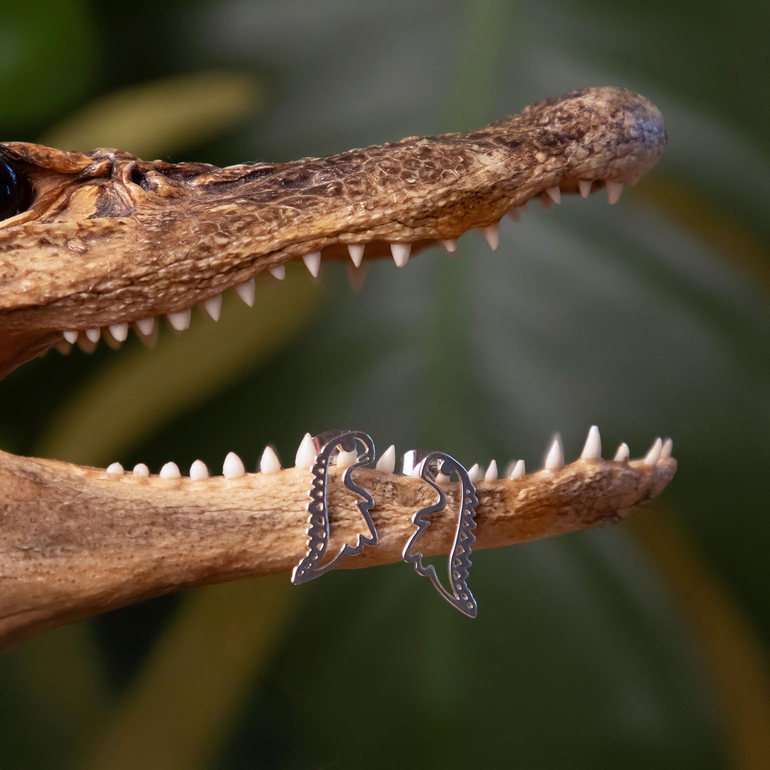 Pendientes de sementales de dinosaurio - Plata