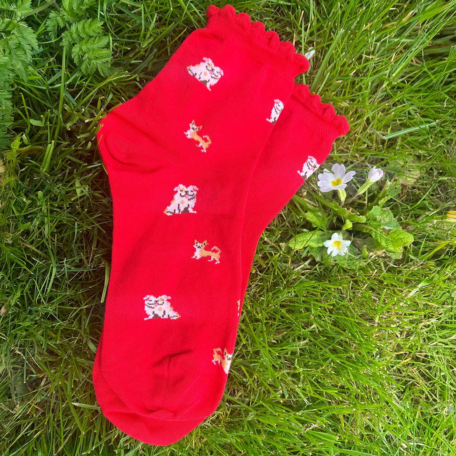 Calcetines tobilleros de bambú - Guau