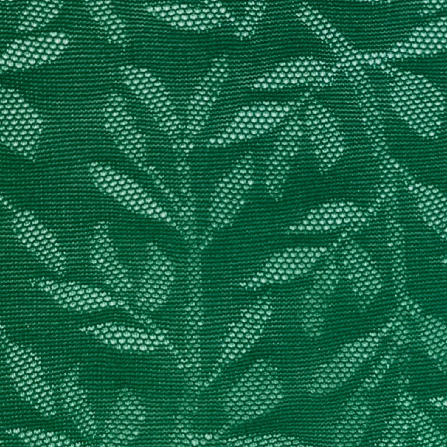 Jungle Jurásico